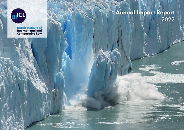 BIICL Annual impact report cover 2020.21
