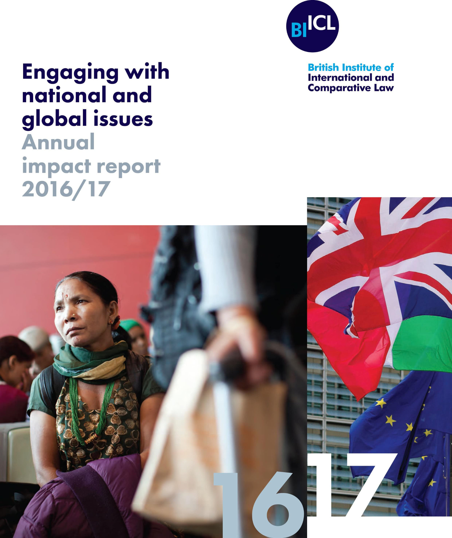 Annual Impact Report 2016-2017