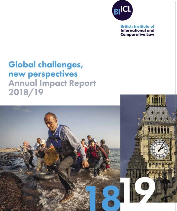 Annual Impact Report 2018 - 2019